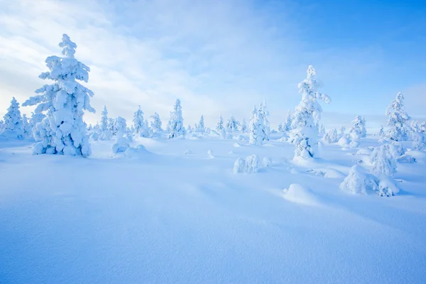 Inverno in Finlandia — Foto Stock