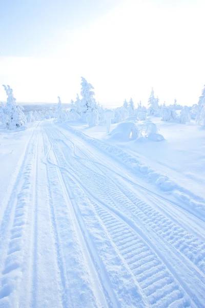 Invierno en el finland — Foto de Stock