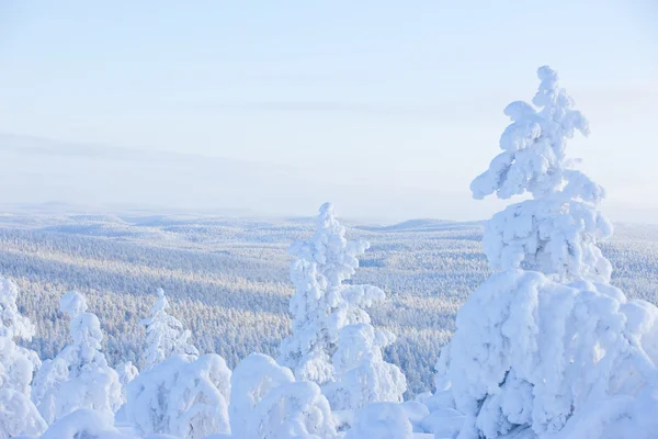 Winter in the finland — Stock Photo, Image