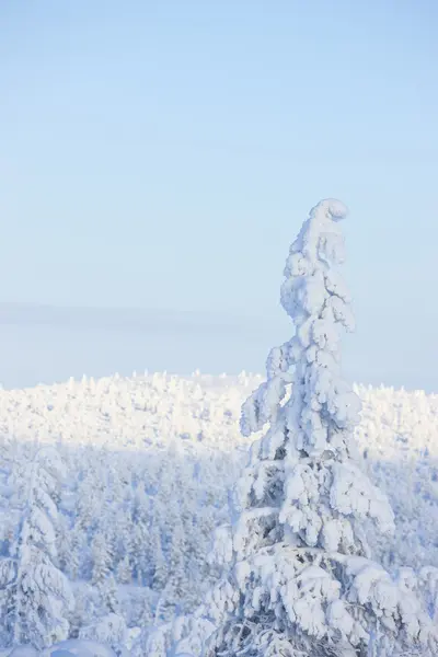 Invierno en el finland — Foto de Stock