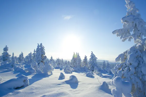 Finlandiya Kış Telifsiz Stok Imajlar