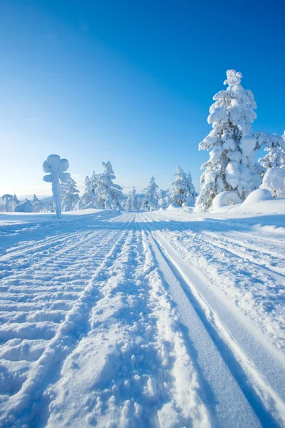 フィンランドの冬 ロイヤリティフリーのストック写真