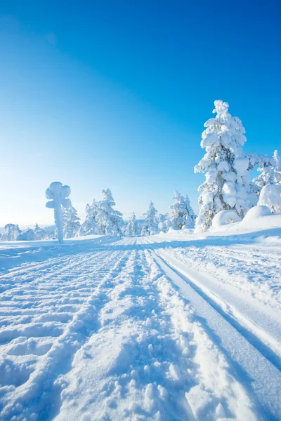 フィンランドの冬 ストック画像