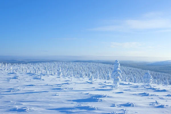 Winter in the finland Stock Picture