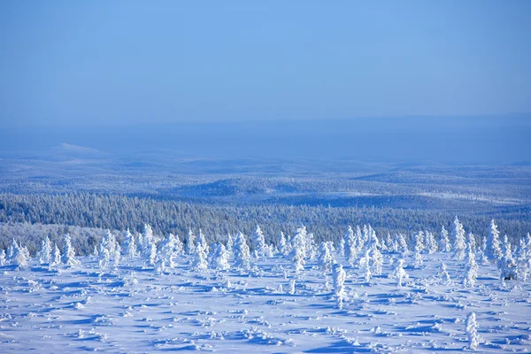 Finlandiya Kış Stok Resim