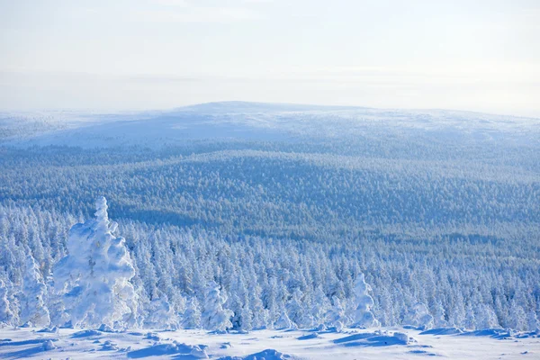 Winter in the finland Stock Photo