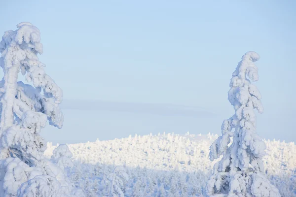 Winter in the finland Stock Photo