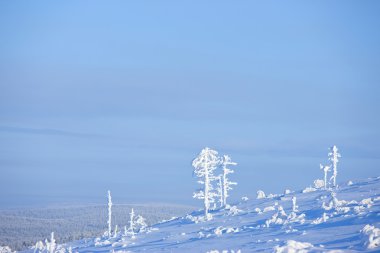 Finlandiya Kış