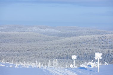 Finlandiya Kış