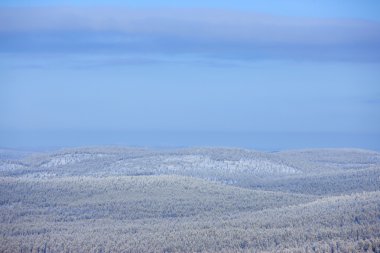 Finlandiya Kış