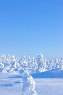 Finlandiya Kış