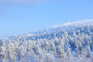 Finlandiya Kış