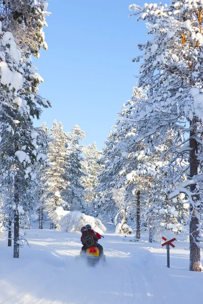 Χειμώνας στη Φινλανδία το — Φωτογραφία Αρχείου