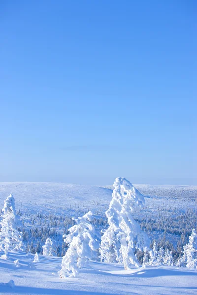 Winter in Finnland — Stockfoto