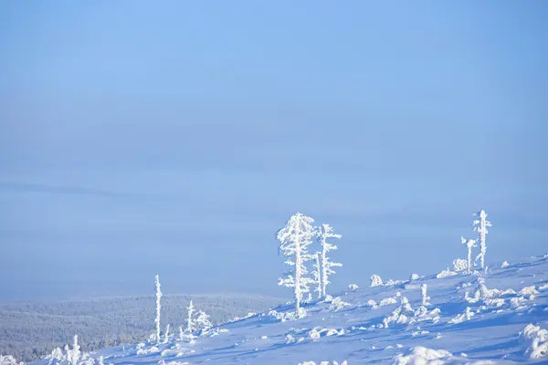 핀란드의 겨울 — 스톡 사진