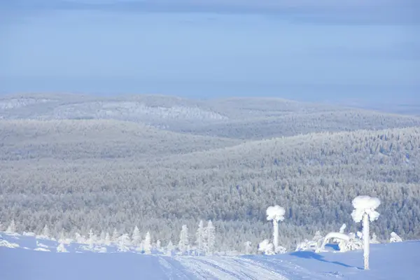 Télen a finn — Stock Fotó