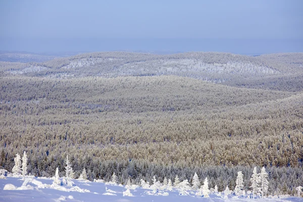 在芬兰的冬天 — 图库照片