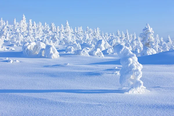 Зима в Финляндии — стоковое фото