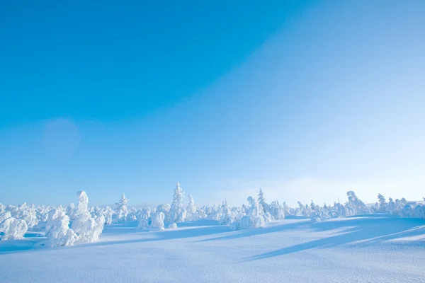 Inverno in Finlandia — Foto Stock