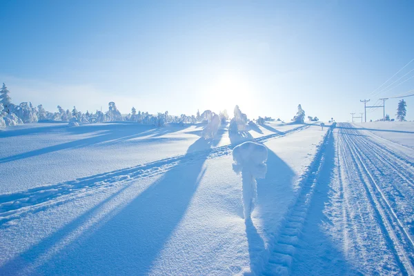 Vinter i finland — Stockfoto