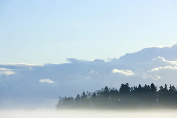 stock image Winter in the finland