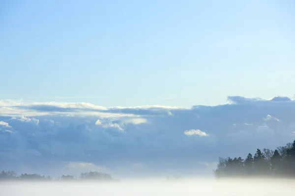 stock image Winter in the finland