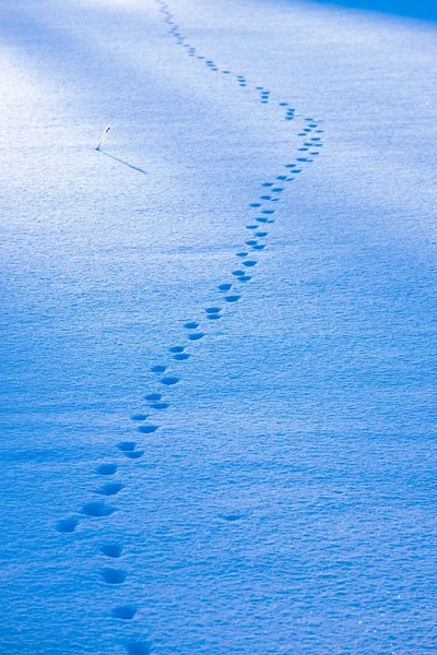 Inverno na Finlândia — Fotografia de Stock