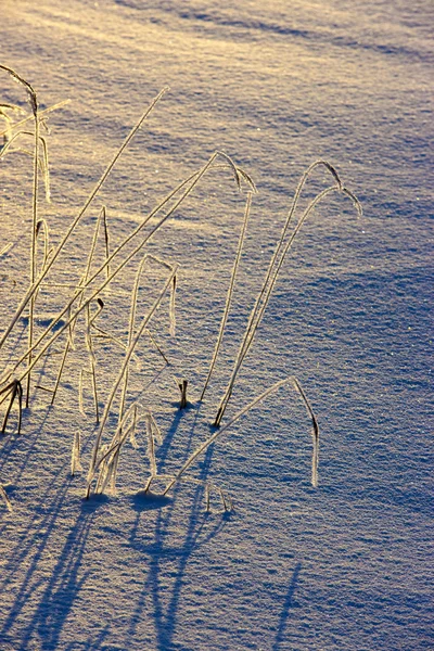 フィンランドの冬 — ストック写真