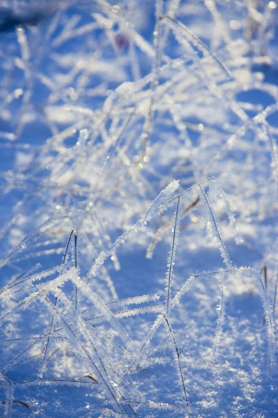 L'hiver en Finlande — Photo