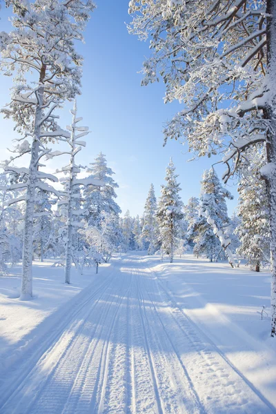 Télen a finn Jogdíjmentes Stock Képek