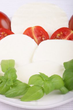 Caprese salatası