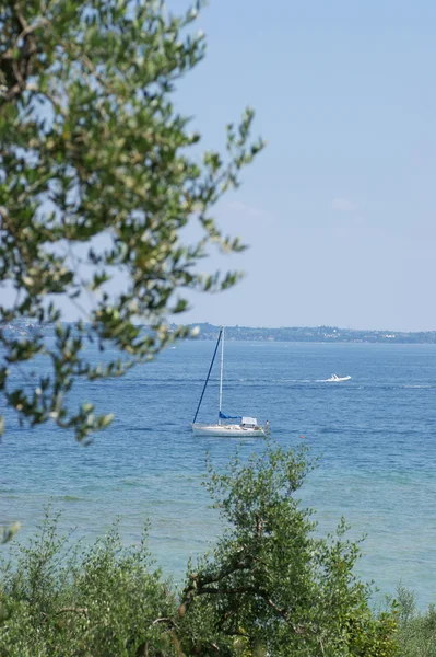 stock image View of Garda lake through the trees