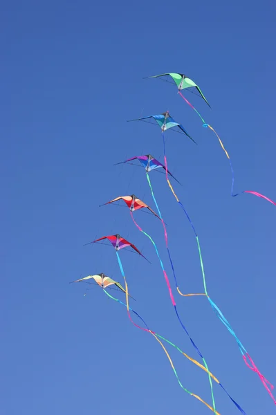 Aquiloni contro un cielo azzurro vivido — Foto Stock