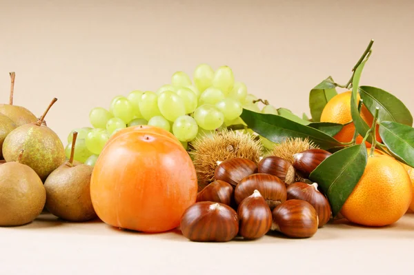 Autumn fruits — Stock Photo, Image