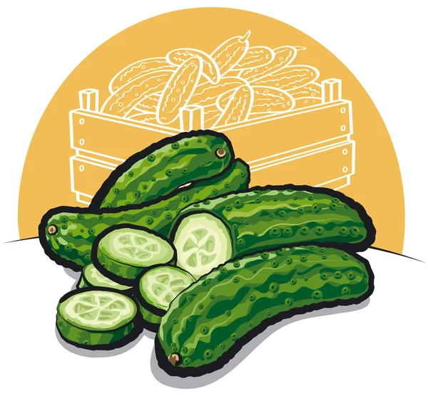Fresh cucumbers — Stock Vector