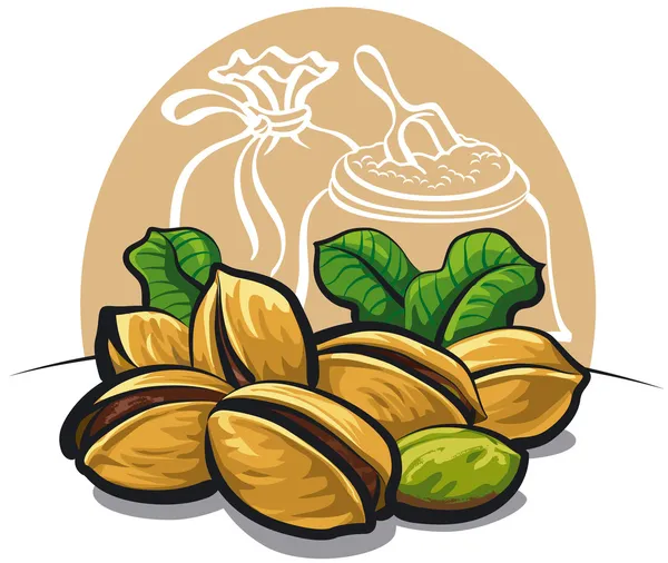 Pimpernoten (pistaches) noten — Stockvector