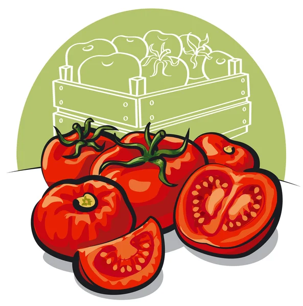 Tomates frescos — Vector de stock