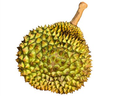 Durian meyve