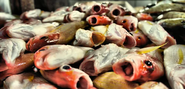 Ryby na targu — Zdjęcie stockowe