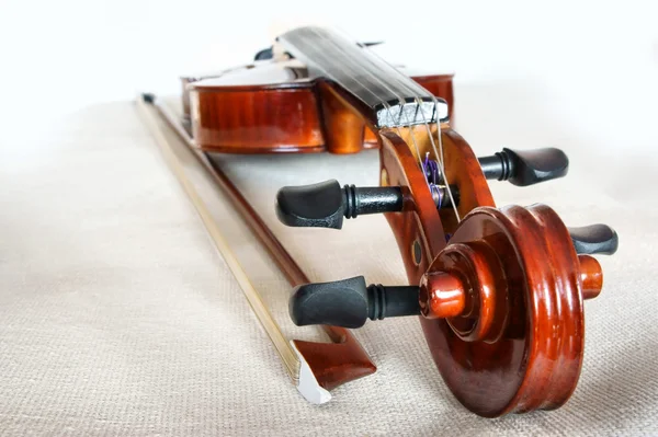 Violin och rosett. — Stockfoto