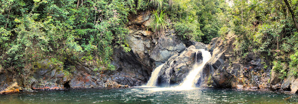 Водопад Эстрелия в джунглях острова Палаван
.