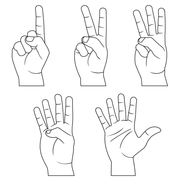 Pět ruce — Stockový vektor