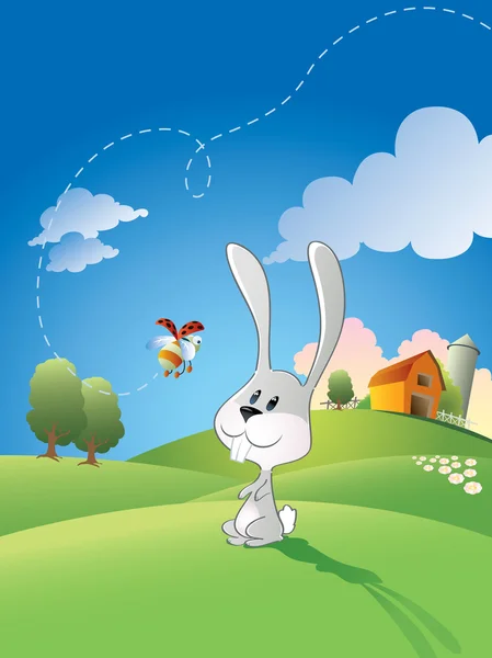 Little bunny — Stock Photo, Image