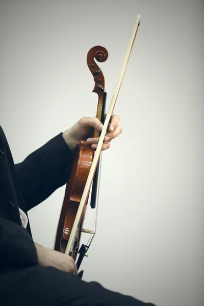 Скрипаль — стокове фото