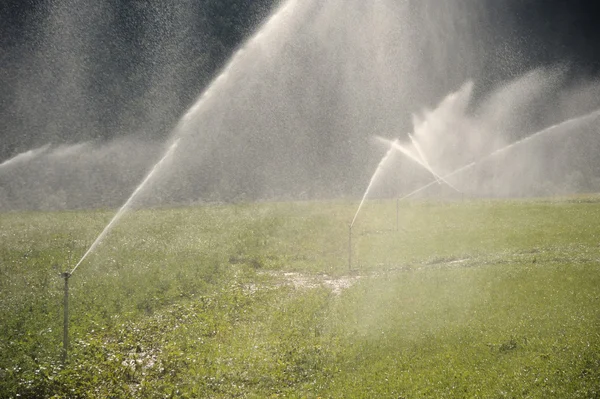 Water sprinklers gericht in alle richtingen — Stockfoto