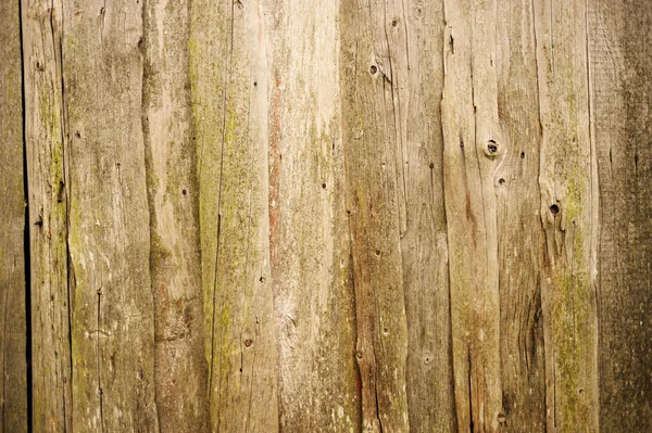 Sztuka tekstura drewna — Zdjęcie stockowe