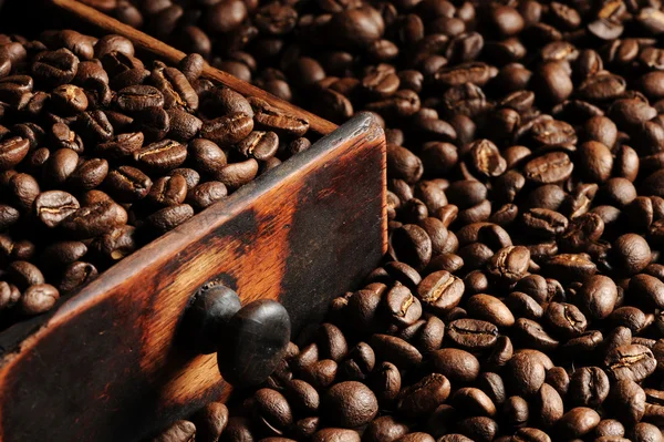 Nahaufnahme von Kaffeebohnen, flache dof — Stockfoto