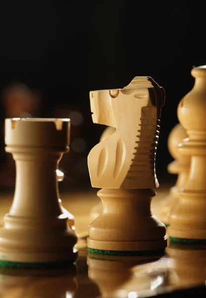 Šachový kůň — Stock fotografie