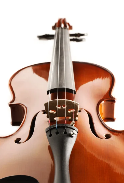 Скрипка — стоковое фото