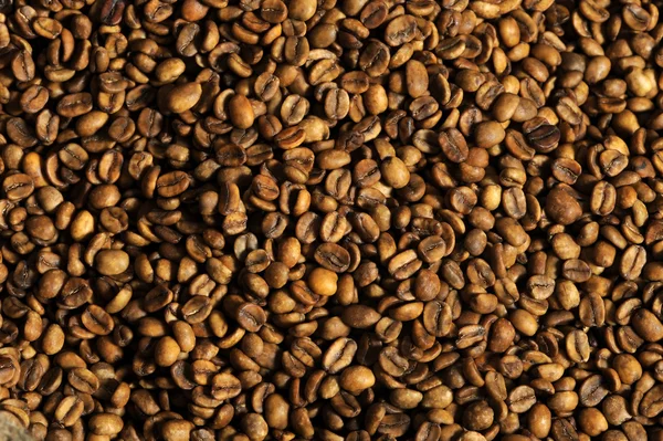 Råa kaffebönor — Stockfoto